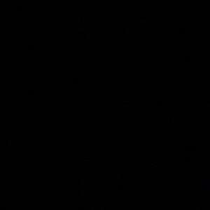 Meet your Posher, Jake